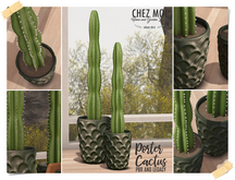 CHEZ MOI Porter Cactus