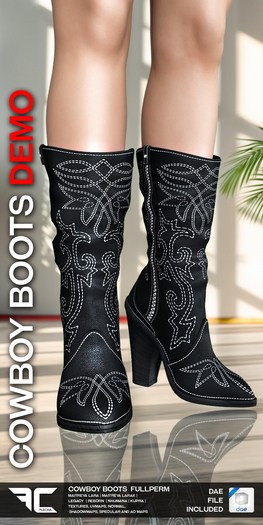 FLECHA Cowboy Boots DEMO