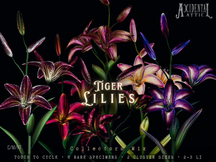 Accidental Attic - Tiger Lilies - Collectors Mix 