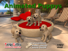 Puppies (Puppy)