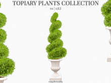 MINIMAL - Topiary Plants 1
