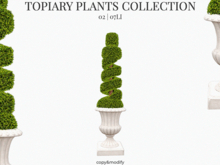 MINIMAL - Topiary Plants 2