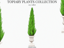 MINIMAL - Topiary Plants 3