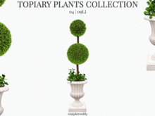 MINIMAL - Topiary Plants 4