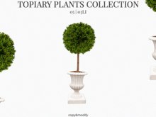 MINIMAL - Topiary Plants 5