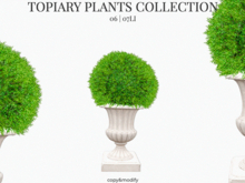 MINIMAL - Topiary Plants 6