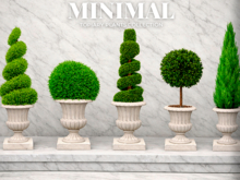 MINIMAL - Topiary Plants FATPACK
