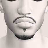 Unorthodox Mero Goatee Beardbase v1 [unpk]