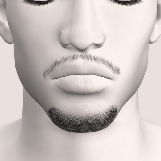 Unorthodox Mhad Goatee Beardbase v1 [unpk]