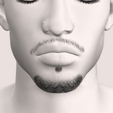Unorthodox Mhad Goatee Beardbase v2 [unpk]