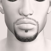 Unorthodox Mhad Goatee Beardbase v4 [unpk]