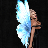 Wild Rose Blue  Wings 4  