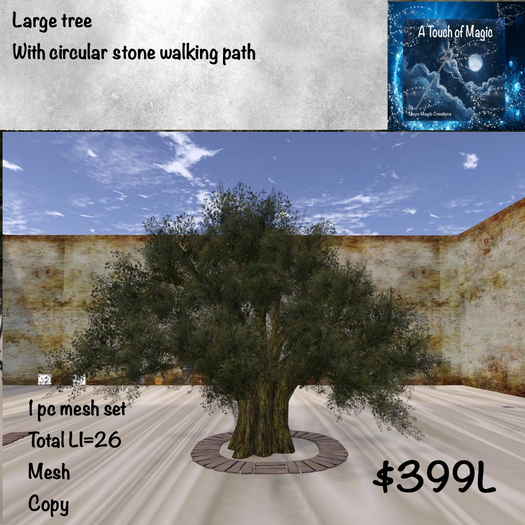 Large tree with circular stone path-Box LI=26