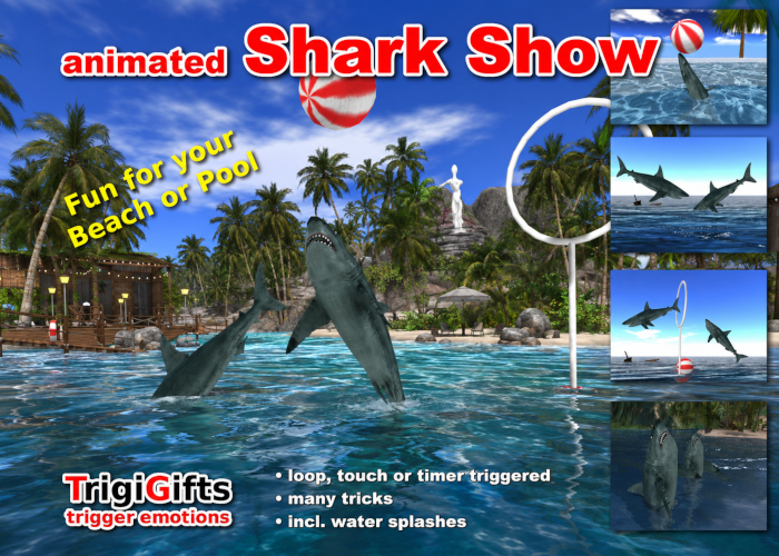 Sharks (Shark)