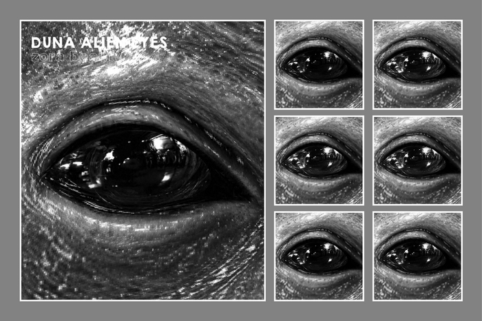 ZORA BEAUTY - DUNA ALIEN EYES - EVOX - DEMO
