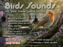 Birds Sounds Generator (TrigiTec)