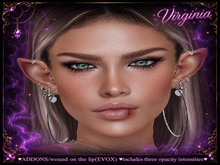 :::VIRGINIA:::ADDONS/wound on the lip(EVOX)