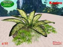 RW - Tropical Jungle Rock Garden *Kapiou* c/m