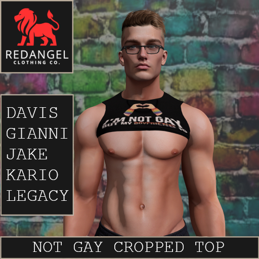 Pride 26 - Not Gay Cropped Top