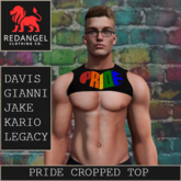 Pride 26 - Pride cropped top