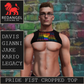 Pride 26 - Pride Fist cropped top