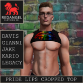 Pride 26 - Pride Lips cropped top