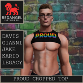 Pride 26 - Proud cropped top