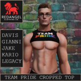 Pride 26 - Team Pride cropped top