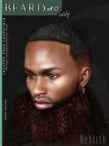 [//REBIRTH/]-BEARD_#08 curly-Red