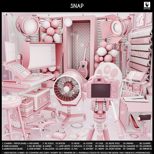 26. BAMSE : Snap - Cleaning Kit