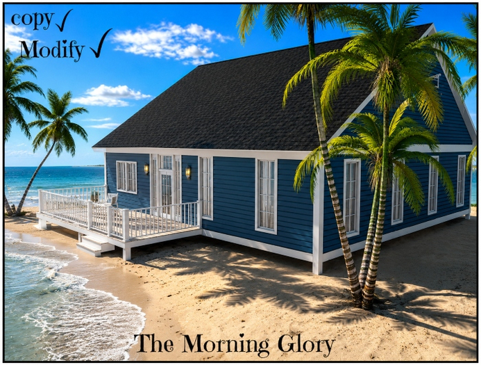 Morning Glory