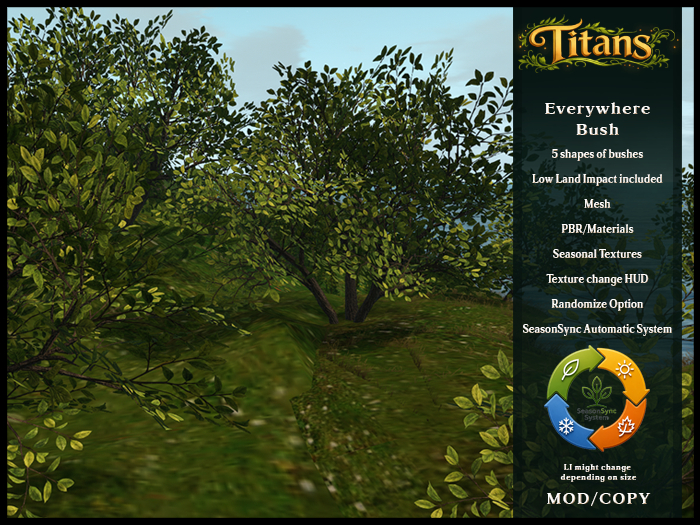 TITANS - Everywhere Bush
