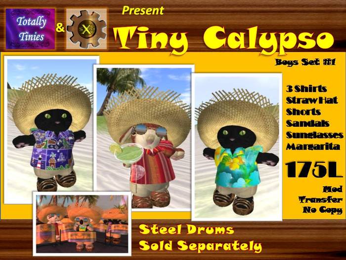 Tiny Calypso Outfits Boys Set 1 