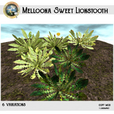 DDDF * Melloona Sweet Lionstooth 6 variations [BOX]