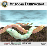DDDF * Melloona Earthworms [BOX]