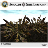DDDF *  Melloona Anoollem Bitter Lionstooth 2 variations  [BOX]