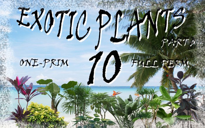 Exotic plants textures full perm part 3