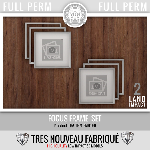 Focus Frame / Mirror Set * Full Perm FM0190