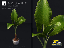[ SQUARE ] - Giant Taro Planter HWSALE