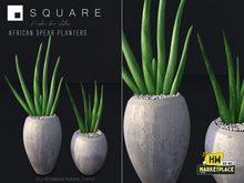[ SQUARE ] - African spear Planters HWSALE