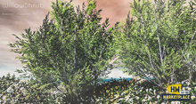 LB_WeepingWIillowShrub{Animated}*4Seasons_UnPackHud