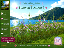 Flower Border 3 - Garden Flowers