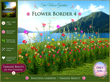 Flower Border 4 - Garden Flowers