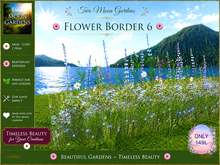 Flower Border 6 - Garden Flowers