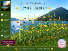 Flower Border 7 - Garden Flowers