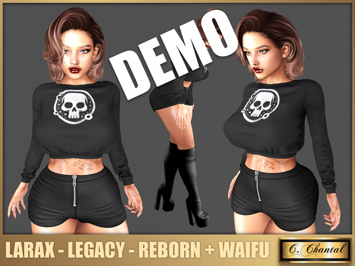 C.CHANTAL Special Forces Outfit PUNISHER #202288 DEMO