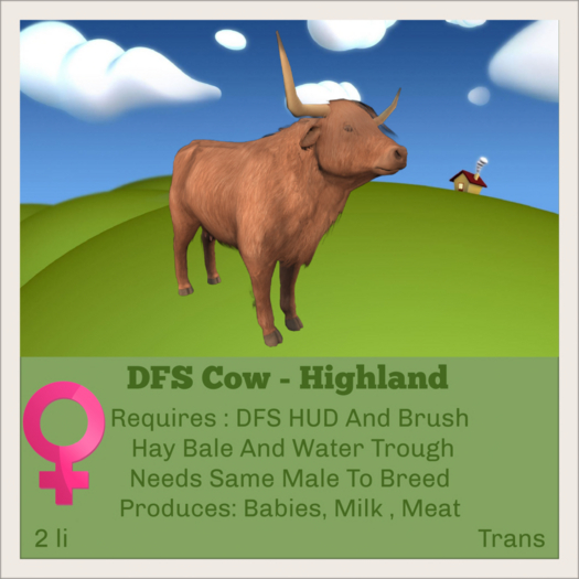 DFS Cow - Highland