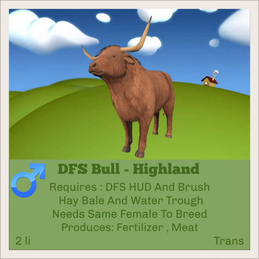 DFS Bull - Highland