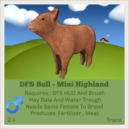 DFS Bull - Mini Highland