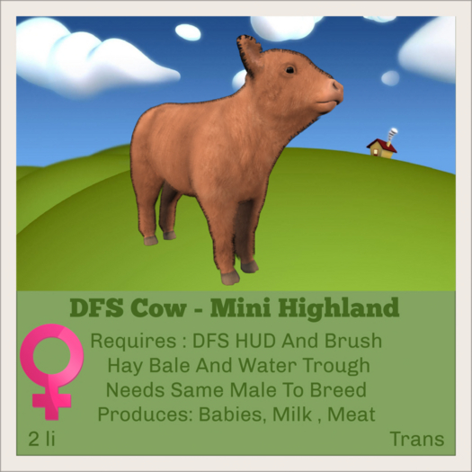 DFS Cow - Mini Highland